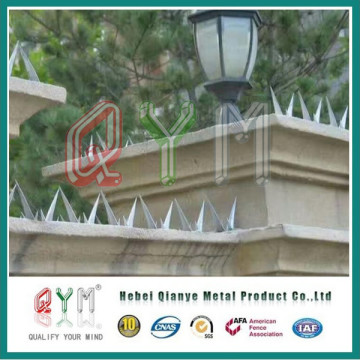 Security Wall Spikes/Steel Anti Climb Spikes/Metal Fence Spikes
